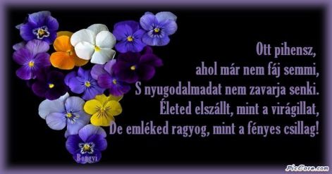 image-3c3f_4dbd6841.jpg