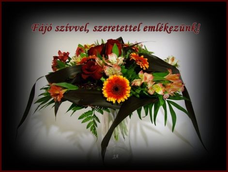 www.tvn.hu_1df617097afd8e8813b72a79ac423928.jpg