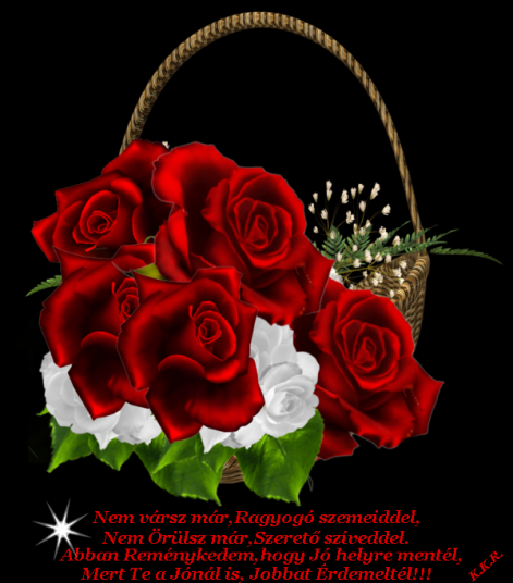 www.tvn.hu_237e318a45aa12afd172c14ad7ce1afd.png