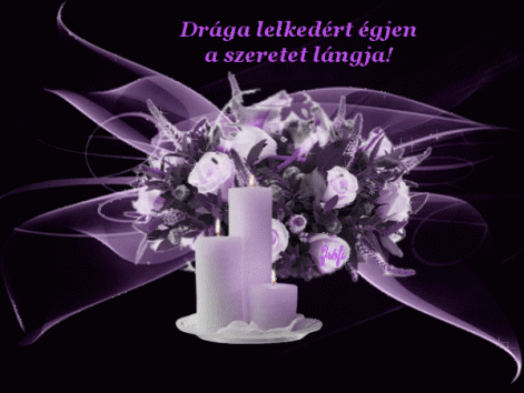 www.tvn.hu_31b0d20dd667450e687ca7b2dcfbaa03.gif