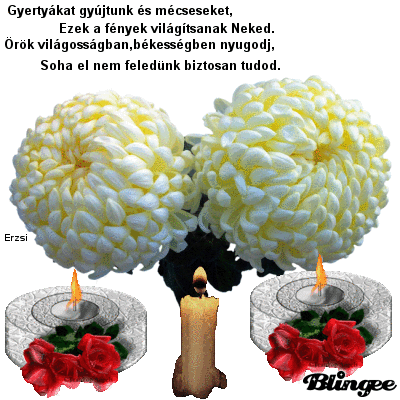 www.tvn.hu_3924ae67e5c1b10d81980c6203bff39c.gif