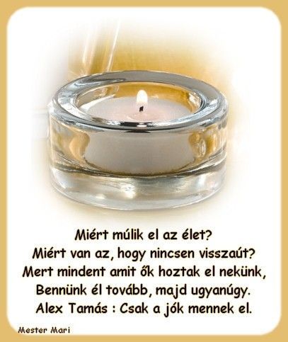 www.tvn.hu_54900e7c2d0588334a57664df4721727.jpg
