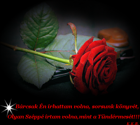 www.tvn.hu_672ea70a2008b02d0d8d85a47553dfaf.png