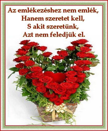 www.tvn.hu_ad6d9d32a2003f1ca202bbc671fc34e3.jpg