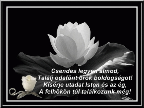 www.tvn.hu_ee590ded856b0c1e797d036014d273d2.gif