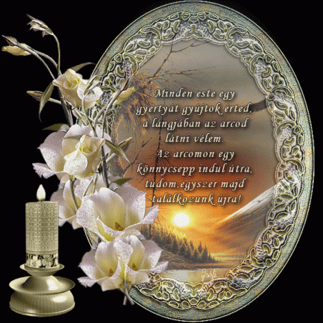 www.tvn.hu_ef5f33d3fc09edfd56c7e352b88d7f43.gif