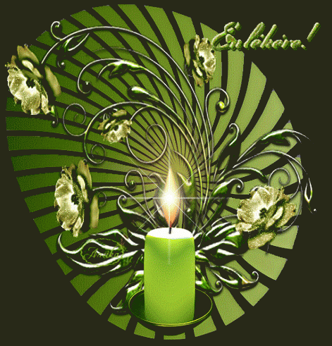 www_tvn_hu_60aa200d64cd2083391e5ab6469efd62.gif