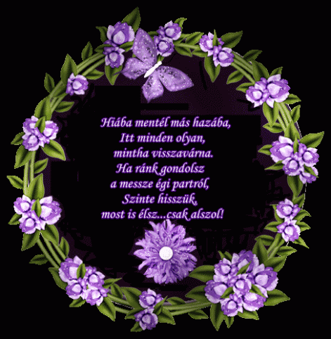 xyfi2939lun2wrgatzto.gif